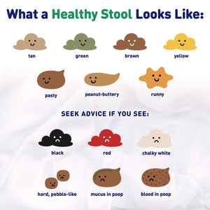 What a Healthy Stool looks like