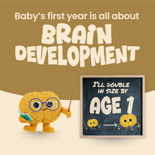 Brainy with glasses holding a book, standing next to a chalkboard with text about brain development, on a brown background.