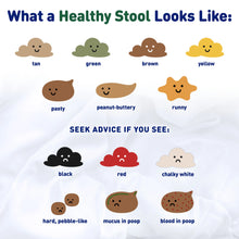 What a Healthy Stool looks like